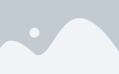 Vestibulum Ante Ipsum Primis